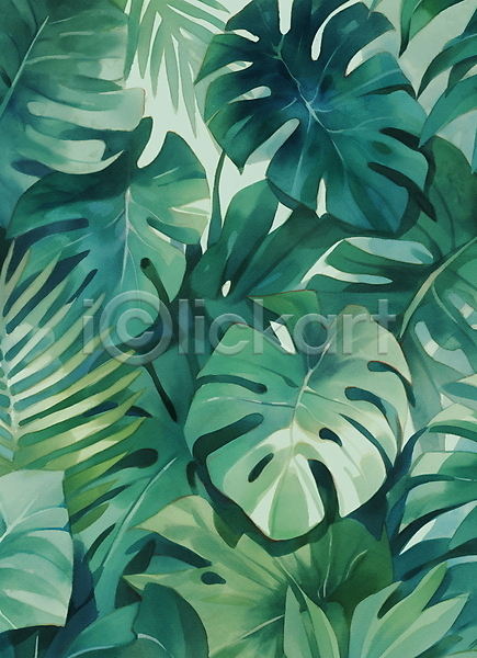 사람없음 JPG 일러스트 몬스테라 배너 백그라운드 보테니컬아트 수채화(물감) 열대 열대잎 자연 초록색 트로피컬아트