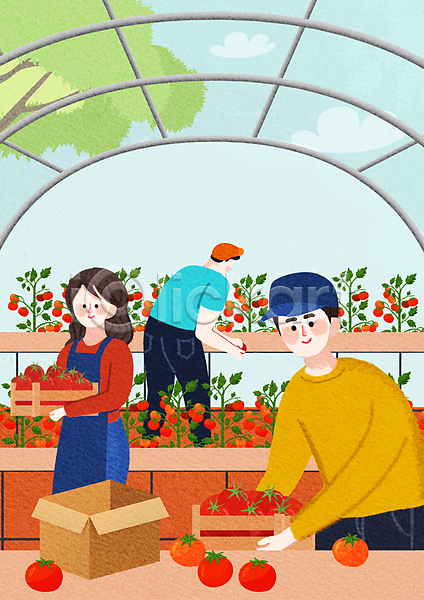 남자 성인 성인만 세명 여자 PSD 일러스트 구름(자연) 나무 농부 농업 들기 비닐하우스 상자 수확 토마토 토마토밭 포장 하늘
