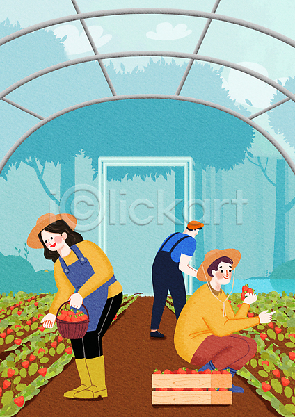 도움 남자 성인 성인만 세명 여자 PSD 일러스트 가리킴 농부 농사 농업 농장 들기 딸기 밀짚모자 바구니 비닐하우스 상자 서기 수확 앉기 웅크림 잡기 전신 포장