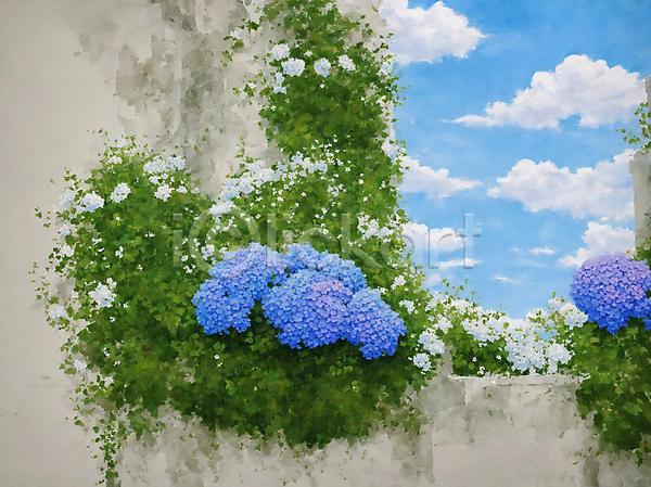 감성 사람없음 JPG 일러스트 구름(자연) 꽃 담장 벽 수국 유화 자연 풍경(경치) 하늘