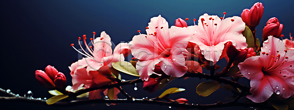 사람없음 JPG 편집이미지 꽃 물방울 배너 백그라운드 분홍색 와이드컷 잎 자연 진달래