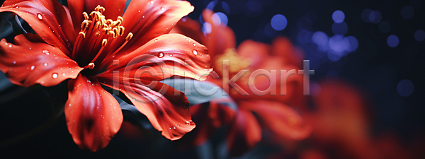 사람없음 JPG 편집이미지 꽃 물방울 배너 백그라운드 백합(꽃) 빨간색 와이드컷 자연 카피스페이스