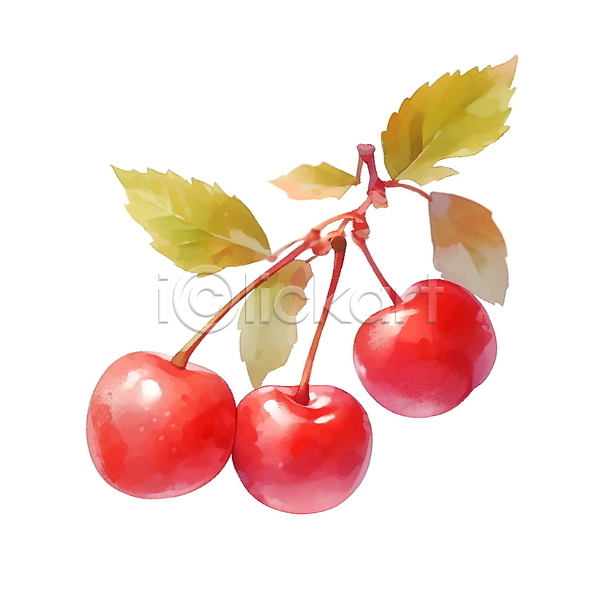 사람없음 JPG 일러스트 가을(계절) 빨간색 수채화(물감) 잎 체리