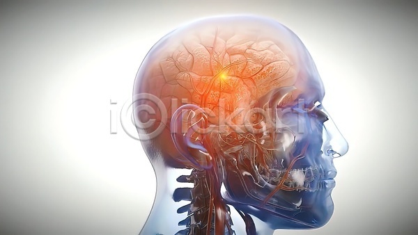 사람모양 사람없음 3D JPG 포토 해외이미지 뇌 반응 생명과학 생물학 신경기관 자극 해외202309