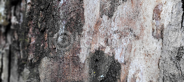 고민 시원함 사람없음 JPG 포토 해외이미지 갈색 그런지 나무 나무껍질 널 노화 레이아웃 목재 미술 반지 백그라운드 벽 벽지 복고 생태학 선 소나무 손상 수확 시골 알약 어둠 옛날 원형 자르기 자연 잡동사니 잡지 조각 질감 추상 통나무 판넬 패턴 표면 프레임 해외202309 해외포토 회색