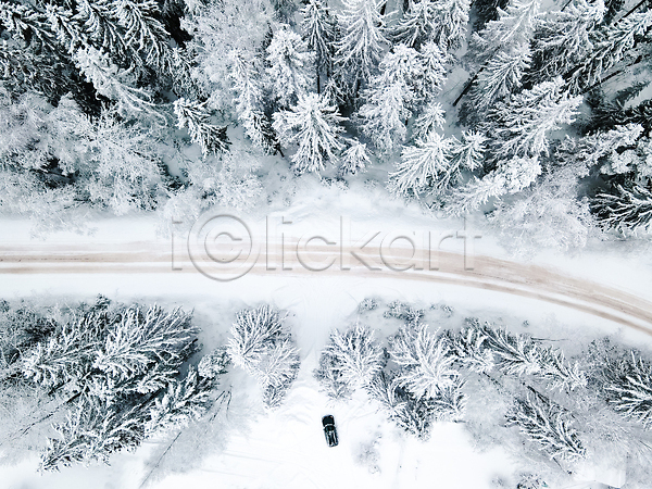 사람없음 JPG 포토 하이앵글 해외이미지 가로수 겨울 길 나무 눈(날씨) 숲 야외 자연 풍경(경치) 해외202309