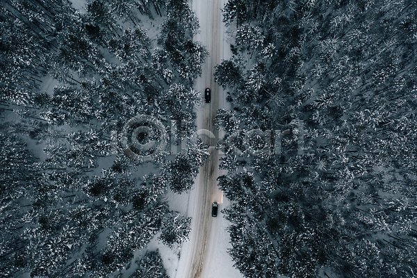 사람없음 JPG 포토 하이앵글 해외이미지 가로수 겨울 길 나무 눈(날씨) 야외 자동차 자연 풍경(경치) 해외202309