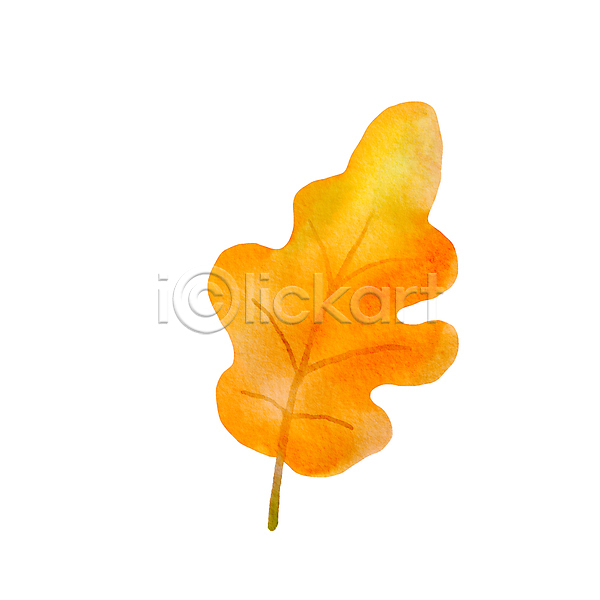 사람없음 JPG 포토 해외이미지 나뭇잎 낙엽 미술 손그림 수채화(물감) 해외202309