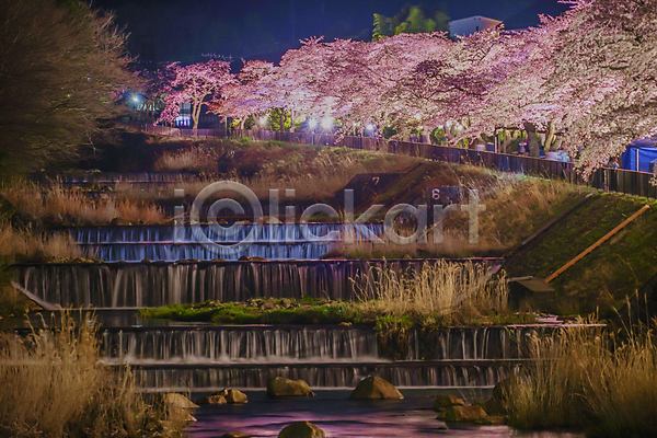 사람없음 JPG 포토 해외이미지 가로등 강 바위 벚꽃 벚나무 봄 빛 야간 카나가와 풀숲 풍경(경치) 해외202309