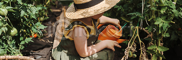 달콤 선택 신선 사람 어린이 한명 JPG 포토 해외이미지 건강 계절 내추럴 농업 농장 맛 먹기 밀짚 배너 봄 빨간색 수집 수확 숙성 식물 야외 온실 유기농 음식 자연 작음 정원 채소 초록색 태양 토마토 해외202309 해외포토 핸드메이드 환경