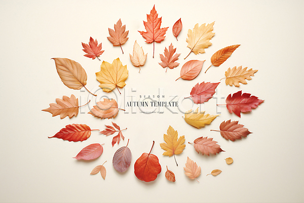 사람없음 PSD 디지털합성 편집이미지 가을(계절) 나뭇잎 낙엽 단풍 백그라운드 원형 주황색 편집소스 프레임