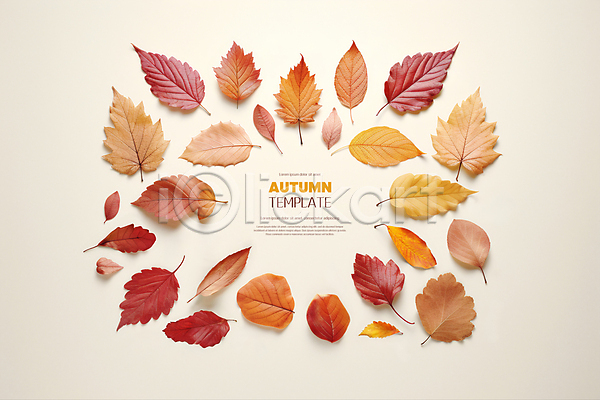 사람없음 PSD 디지털합성 편집이미지 가을(계절) 나뭇잎 낙엽 단풍 백그라운드 주황색 편집소스 프레임