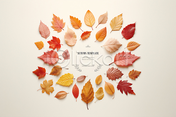 사람없음 PSD 디지털합성 편집이미지 가을(계절) 나뭇잎 낙엽 단풍 백그라운드 원형 주황색 편집소스 프레임