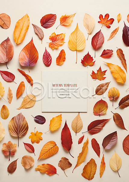 사람없음 PSD 디지털합성 편집이미지 가을(계절) 나뭇잎 낙엽 단풍 백그라운드 사각형 종이 주황색 편집소스 프레임