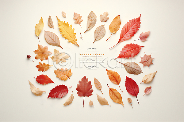사람없음 PSD 디지털합성 편집이미지 가을(계절) 나뭇잎 낙엽 단풍 백그라운드 사각형 주황색 편집소스 프레임