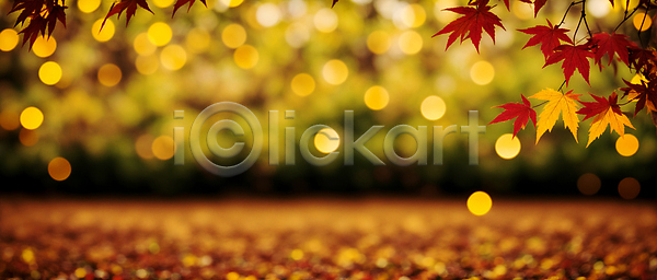 사람없음 JPG 편집이미지 가을(계절) 가을풍경 나뭇가지 단풍 백그라운드 보케 블러효과 빛망울 숲 자연 햇빛