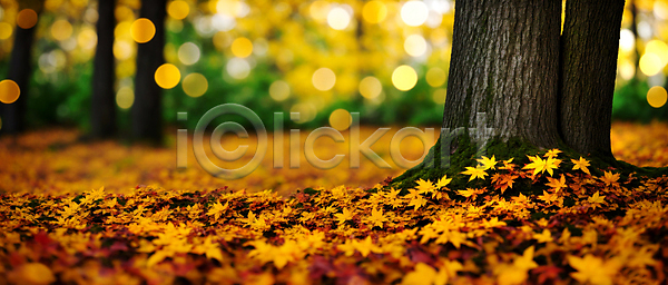 사람없음 JPG 편집이미지 가을(계절) 가을풍경 낙엽 노란색 단풍나무 백그라운드 보케 블러효과 빛망울 숲 자연 햇빛