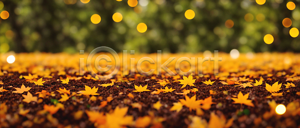 사람없음 JPG 편집이미지 가을(계절) 가을풍경 낙엽 단풍 백그라운드 보케 블러효과 빛망울 숲 자연 주황색 햇빛