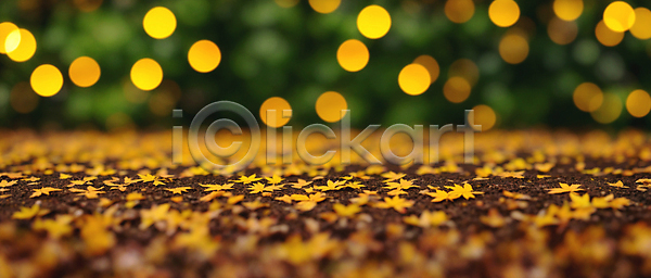 사람없음 JPG 편집이미지 가을(계절) 가을풍경 낙엽 노란색 단풍 백그라운드 보케 블러효과 빛망울 숲 야외