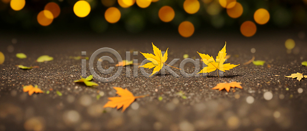 사람없음 JPG 편집이미지 가을(계절) 가을풍경 낙엽 단풍 백그라운드 보케 블러효과 빛망울 자연