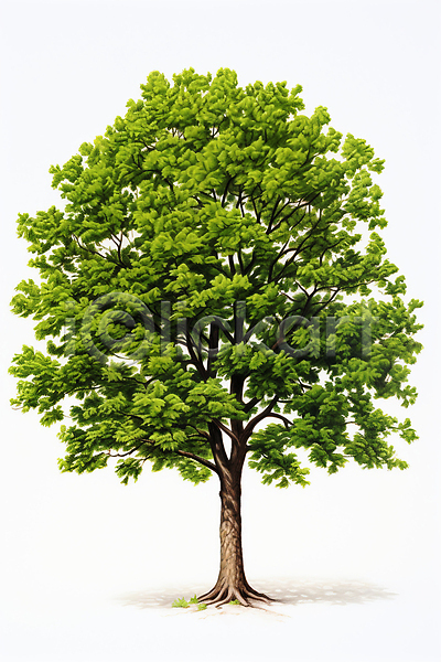 사람없음 JPG 일러스트 나무 자연 초록색 한그루 환경