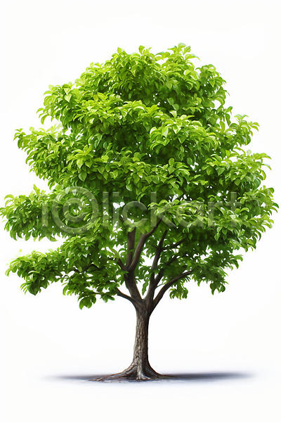 사람없음 JPG 일러스트 나무 자연 초록색 한그루 환경
