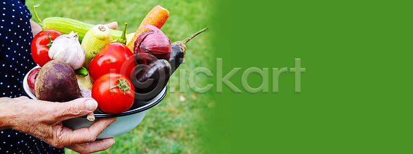 사랑 사람 사람없음 JPG 포토 해외이미지 감자 과일 관리 농부 당근 많음 먹기 배너 백그라운드 뷰티 상추 손 수집 수확 숙성 시골 양배추 양파 옛날 오이 요리 원예사 유기농 음식 자연 잡기 접시 채소 카피스페이스 토마토 피망 할머니 해외202309 해외포토 핸드메이드