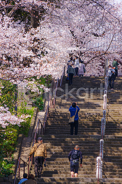 군중 JPG 포토 해외이미지 계단 도쿄 벚꽃 벚나무 봄 풀숲 풍경(경치) 해외202309