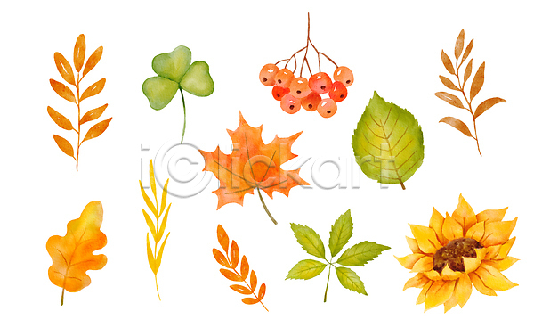 사람없음 JPG 포토 해외이미지 가을(계절) 나뭇잎 낙엽 미술 세트 손그림 수채화(물감) 해바라기 해외202309