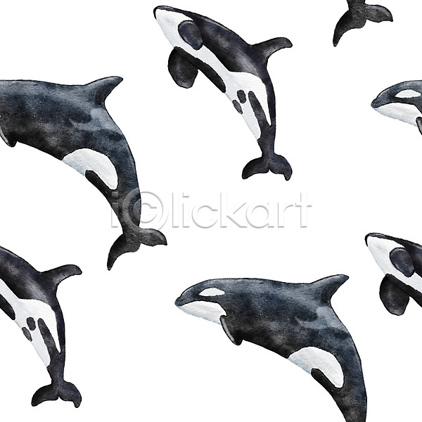 사람없음 JPG 포토 해외이미지 고래 동물 범고래 수채화(물감) 패턴 해외202309