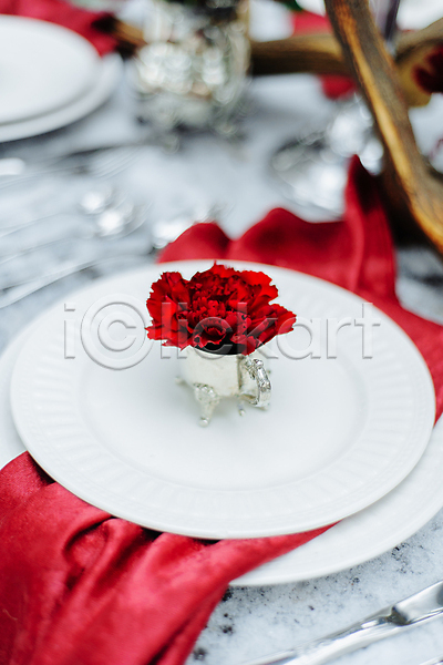 사랑 화려 사람없음 JPG 포토 해외이미지 빨간색 장미 저녁식사 접시 천(직물) 해외202309