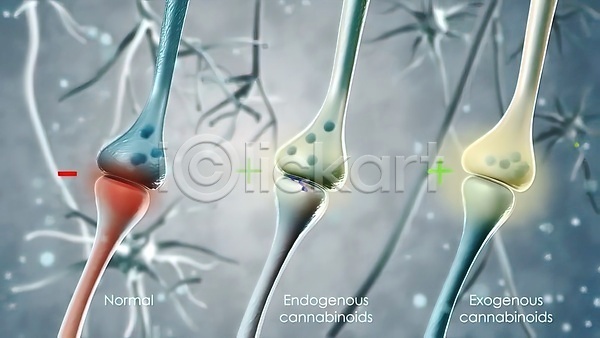 사람 사람없음 3D JPG 포토 해외이미지 DNA 감정 건강 검은색 과학 네트워크 뇌 디지털 맥박 바이러스 백그라운드 빛 생물 생물학 세포 에너지 원자 입자 컴퓨터 크로마키 해부 해외202309