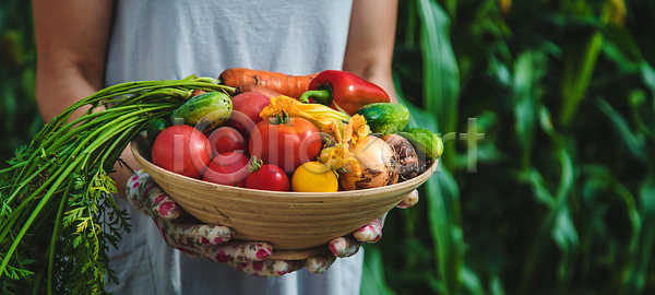 성장 신선 사람 사람없음 JPG 포토 해외이미지 가득함 건강 나무상자 날것 내추럴 농부 농업 농작물 농장 당근 먹기 바이오 밭 밭일 배너 백그라운드 빨간색 상자 상추 손 수집 수확 숙성 시장 식물 야외 원예 원예사 유기농 음식 자연 잡기 정원 채소 채식주의자 초록색 카피스페이스 토마토 해외202309 해외포토