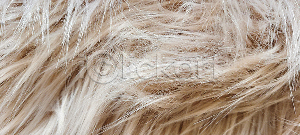 따뜻함 휴식 사람 사람없음 여자 JPG 포토 해외이미지 1 가로 갈색 고립 낮잠 담요 방 베개 사발 수건 슛 시간 시리얼 실내 아침 아침식사 안락 앉기 이불 잡기 주택 침대 침실 포장 포즈 해외202309 해외포토 헤드폰 혼자