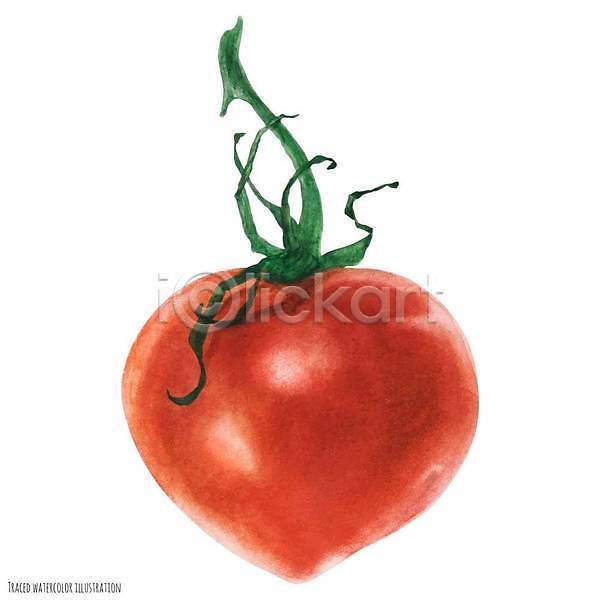 사람없음 EPS 일러스트 해외이미지 빨간색 수채화(물감) 토마토 해외202309