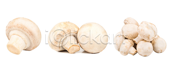 사람없음 JPG 포토 해외이미지 건강 고립 곰팡이 구성 그룹 닫기 많음 먹기 모음 버섯 분홍색 비건 세트 수집 수확 숙성 슬라이스 식사 식용 오브젝트 자르기 자연 재료 절임 조각 짠맛 채소 채식주의자 컬러 통조림 피클 해외202309 해외포토 흙더미 흰색