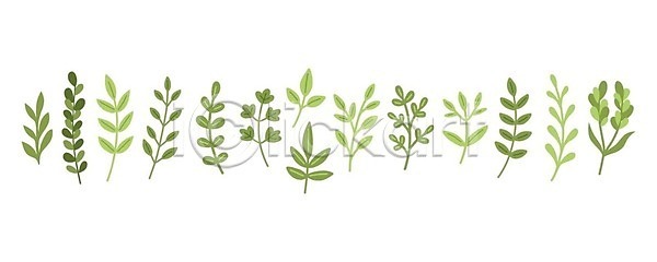 EPS 일러스트 해외이미지 개화 결혼 고립 그래픽 그림 꽃 꽃무늬 나뭇가지 낙서 내추럴 디자인 미술 백그라운드 벚꽃 벡터 봄 뷰티 세트 손그림 수집 식물 신용카드 심플 엘리먼트 잎 자연 장식 정원 초록색 컬러 컬러풀 플랫 해외202309 해외일러스트 흰색