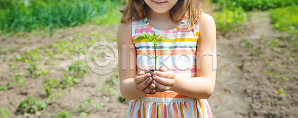 보호 새로움 성장 아이디어 사람 어린이 한명 JPG 포토 해외이미지 개발 관리 나무 농업 돌봄 먼지 모종 배너 백그라운드 봄 새싹 생태학 세련 손 시작 식물 씨앗 오이 원예 잎 자연 작음 잡기 정원 지구 채소 초록색 카피스페이스 컨셉 컬러 토마토 해외202309 해외포토 환경 후추 흙