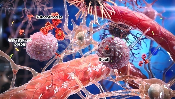 아이디어 집중 사람 사람없음 JPG 포토 해외이미지 DNA 과학 네트워크 노화 뇌 단백질 디자인 마음 머리 생물학 세포 셀룰러 신호 약 오르간 죽음 학습 해외202309