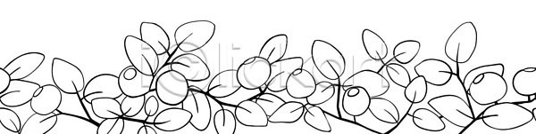 EPS 일러스트 해외이미지 건강 건강식 검은색 그림 나뭇가지 덮개 디저트 블루베리 색칠공부 식물 약 열매 윤곽 음식 잎 패턴 포장소품 포장지 프레임 해외202309 핸드메이드 현실 흰색