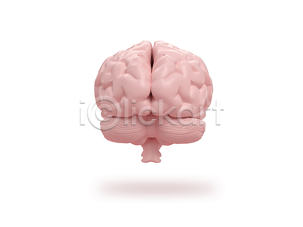 상상 아이디어 혁명 사람 사람없음 3D JPG 포토 해외이미지 감각 건강 건강관리 고립 과학 교육 뇌 마음 머리 생물학 스터디 시스템 신체 약 오르간 지능 컨셉 해결 해부 해외202309