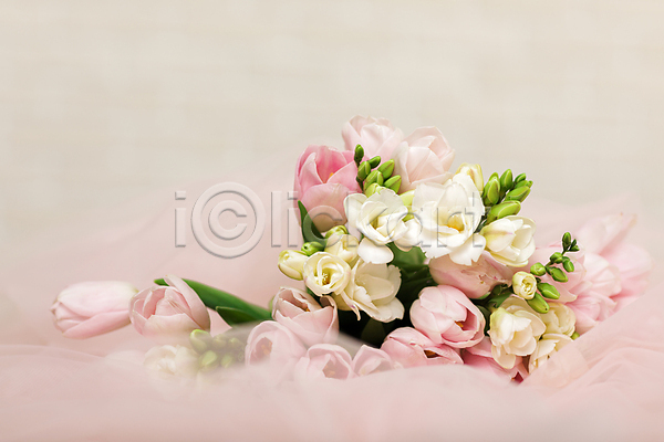 사람없음 JPG 포토 해외이미지 결혼 꽃다발 베일 부케 분홍색 잎 튤립 해외202309