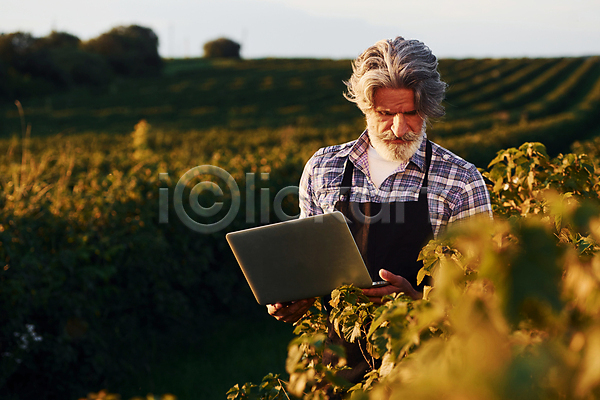 분석 남자 노년 노인남자한명만 한명 JPG 앞모습 포토 해외이미지 가을(계절) 내려보기 노트북 농경지 농부 농사 농업 들기 밭 상반신 스마트팜 시골 해외202309