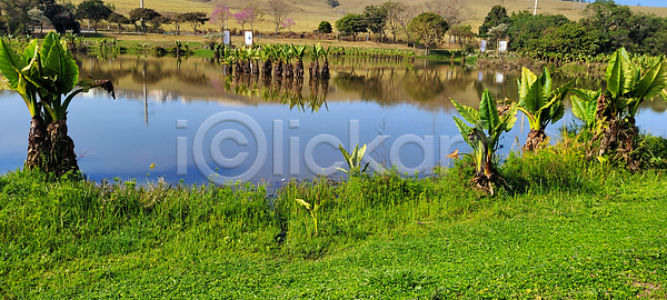 휴식 사람없음 JPG 포토 해외이미지 개화 공원 꽃 꽃가루 남아메리카 내추럴 물 백그라운드 백합 벚꽃 분홍색 뷰티 브라질 생태학 수평선 습지 시골 식물 여름 여행 연꽃 잎 자연 정원 젖음 초록색 평야 풍경 해외202309 해외포토 호수 황무지 흰색