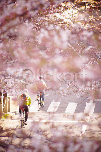두명 JPG 포토 해외이미지 도로 도쿄 벚꽃 벚나무 봄 사이클링 자전거 풍경(경치) 해외202309