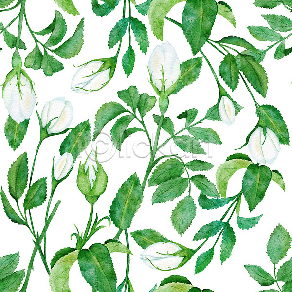 사람없음 JPG 해외이미지 꽃 백그라운드 손그림 자연 초록색 패턴 풀잎 해외202309
