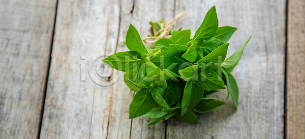 성장 신선 사람없음 JPG 포토 해외이미지 건강 건강식 국산 날것 내추럴 냄비 농업 목재 바질 백그라운드 봄 비건 상자 세련 식물 실내 원예 유기농 음식 잎 자연 재료 재활용 정물화 정원 채소밭 채식주의자 초록색 취미 컨테이너 해외202309 해외포토 허브 화분
