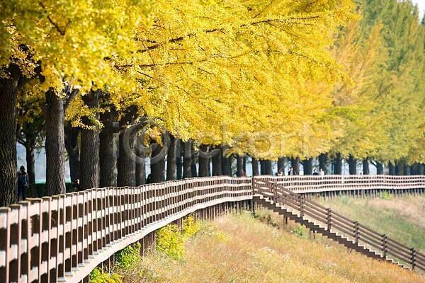 추위 사람없음 JPG 포토 해외이미지 건축양식 겨울 나무 나뭇가지 낙엽 물 숲 식물 잎 터키석 파란색 해외202309
