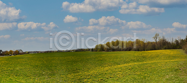 성장 신선 사람없음 JPG 포토 해외이미지 계절 꽃 꽃무늬 내추럴 노란색 맑음 민들레 밭 백그라운드 벚꽃 봄 뷰티 시골 식물 야외 여름 자연 초록색 컬러풀 파노라마 풍경 해외202309 해외포토 햇빛