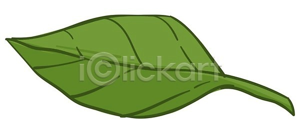 성장 신선 EPS 일러스트 해외이미지 계절 고립 관목 그리너리 꽃무늬 나무 나뭇가지 내추럴 다발 디자인 묘사 벡터 봄 상록수 새싹 생태학 식물 에코 엘리먼트 열대 열대우림 원예 유기농 유행 이국적 잎 자연 장식 질감 초록색 해외202309 해외일러스트 허브 화초 환경